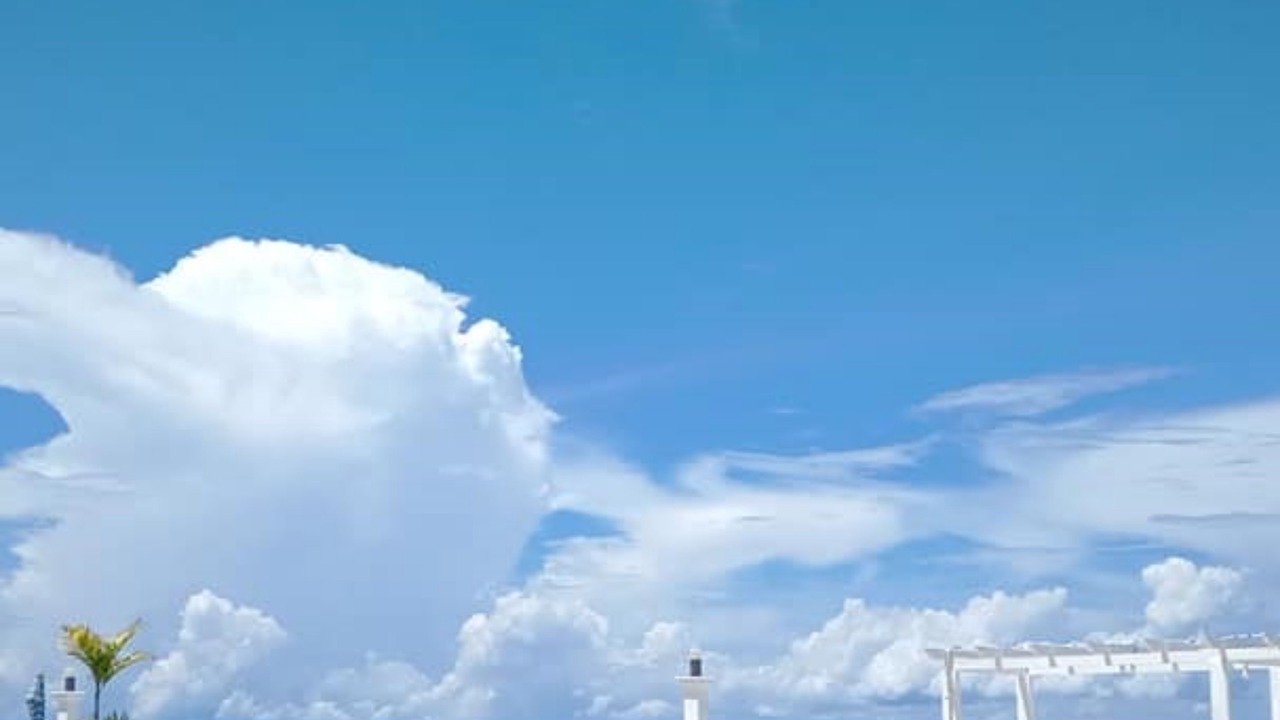 Photo of Outdoor in Oslob