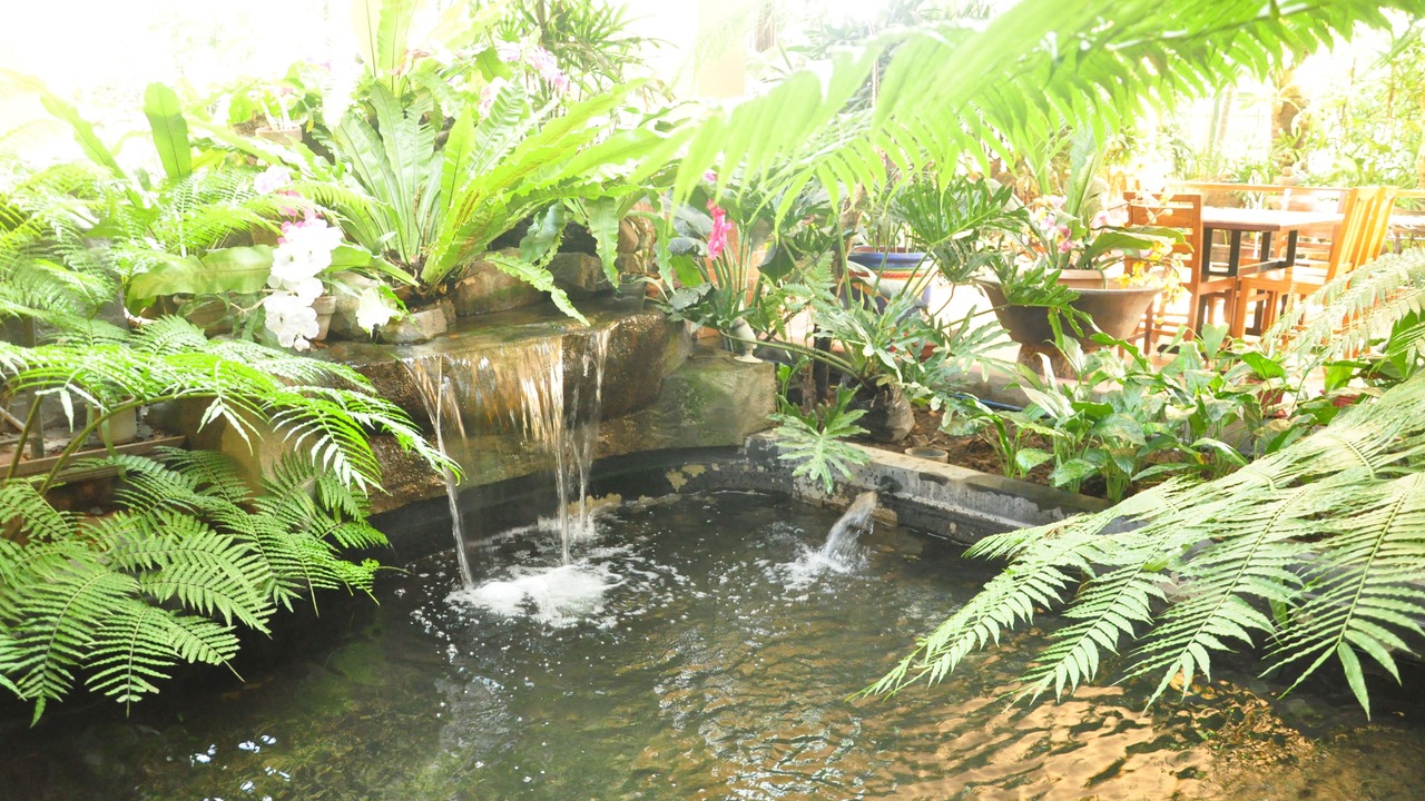 Photo of Outdoor in Imus