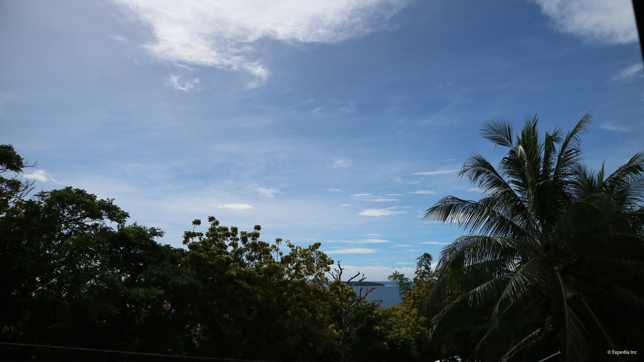 Photo of Others in Oslob