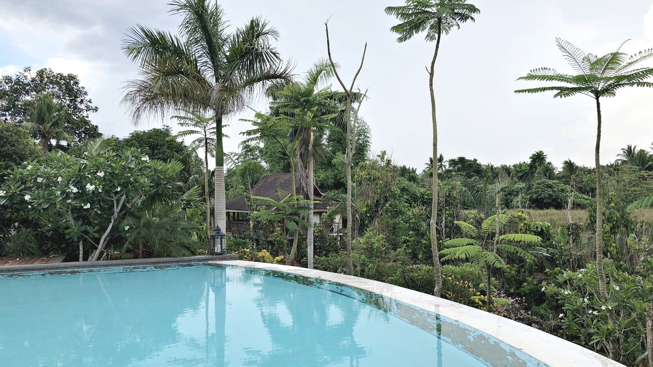 Photo of Outdoor in San Pablo