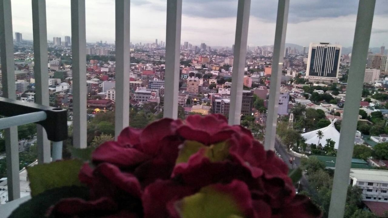 Photo of Patio Balcony in Bel-Air