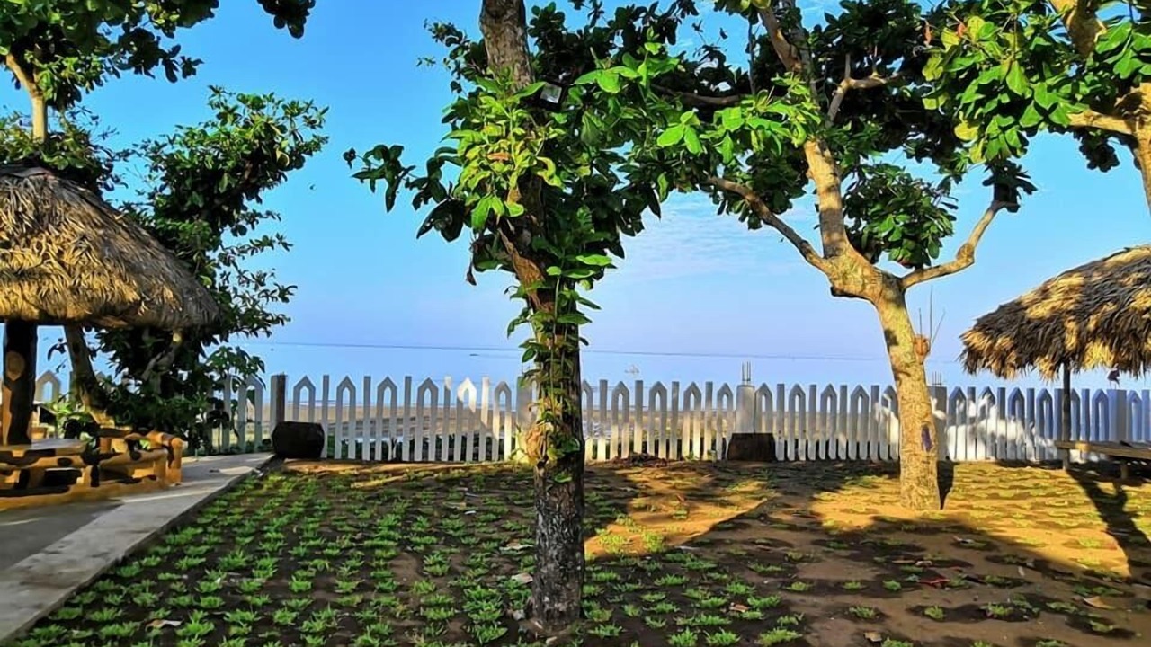 Photo of Outdoor in Donsol