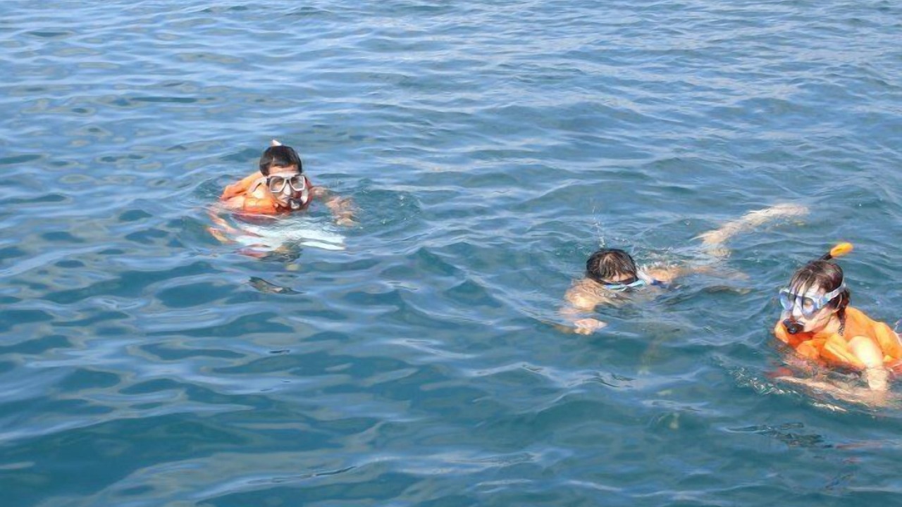 Photo of Others in Donsol