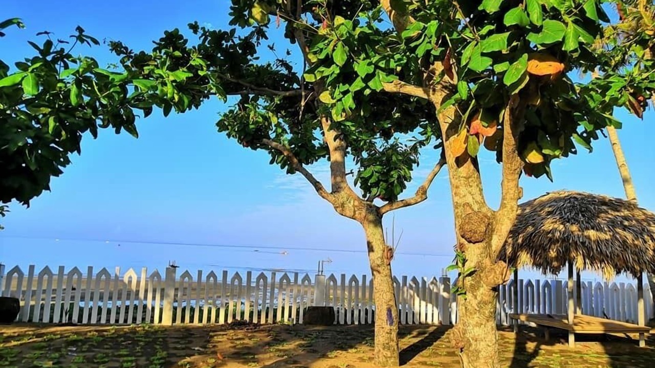 Photo of Outdoor in Donsol