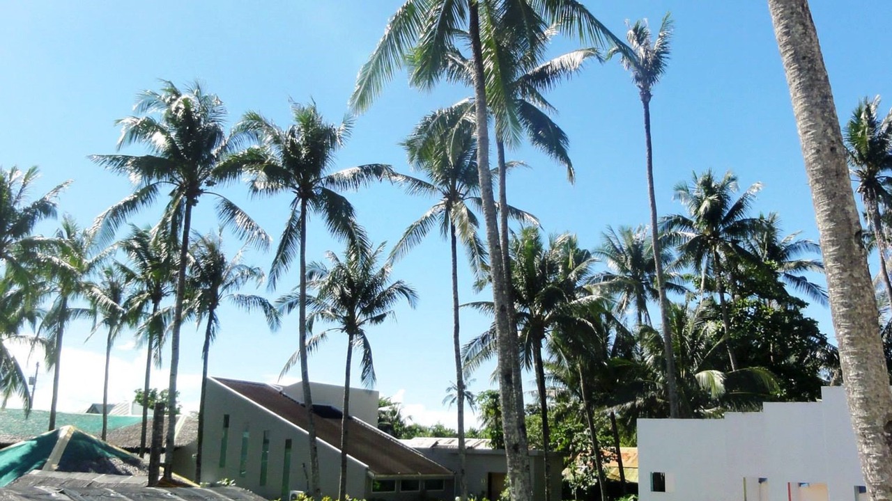 Photo of Outdoor in Mabua