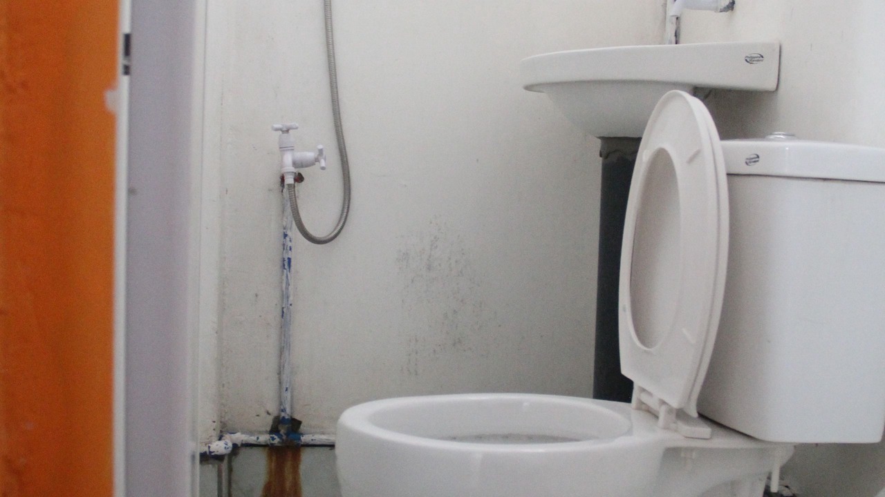 Photo of Bathroom in San Pedro