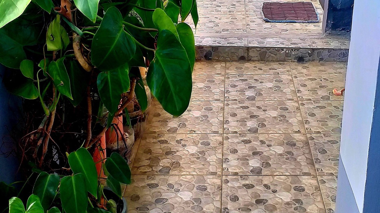 Photo of Patio Balcony in Baler