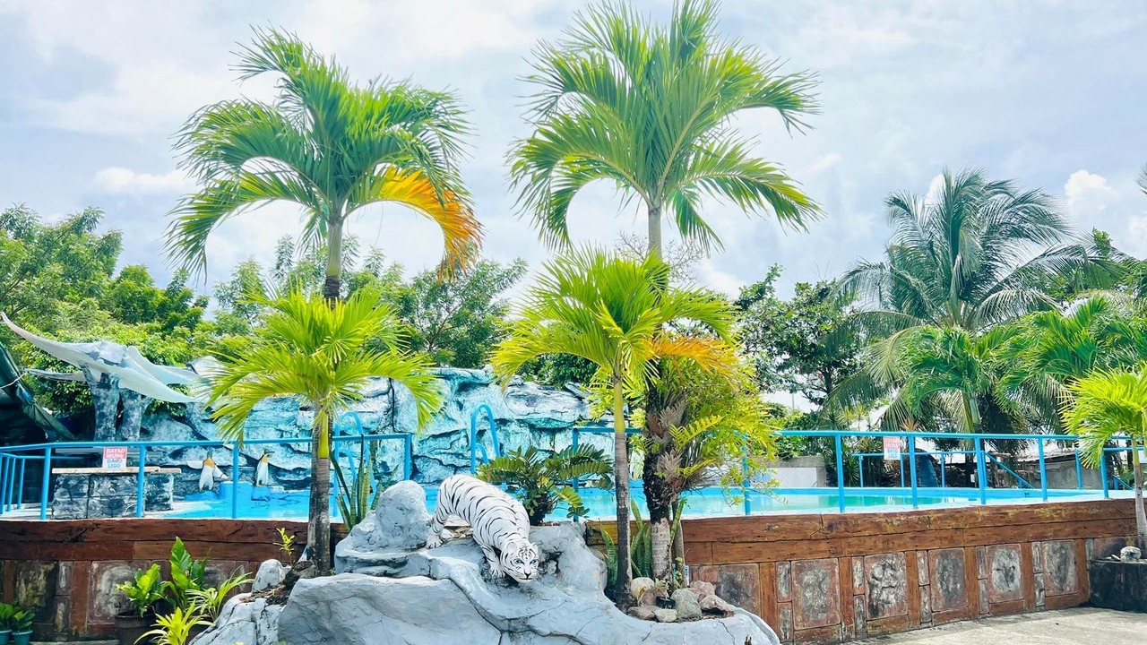 Photo of Outdoor in San Jose de Buenavista
