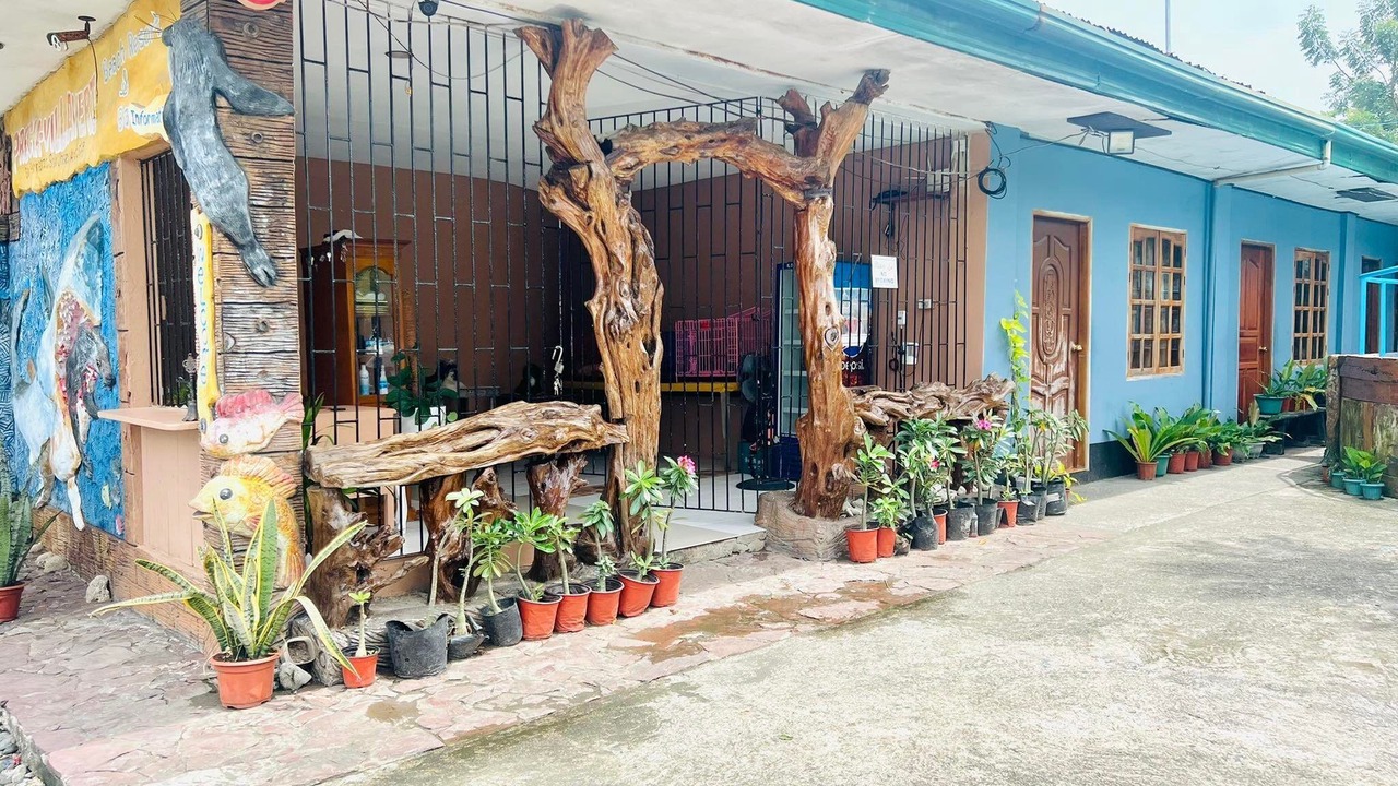 Photo of Others in San Jose de Buenavista