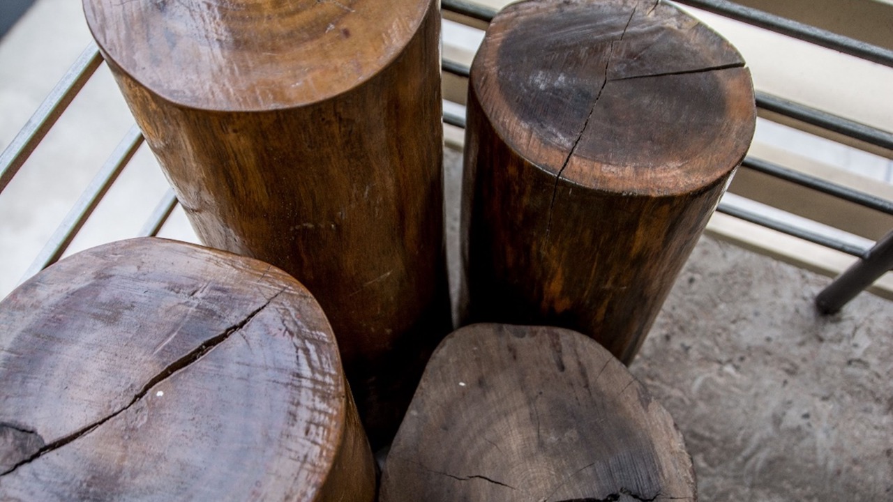 Photo of Outdoor in Olongapo