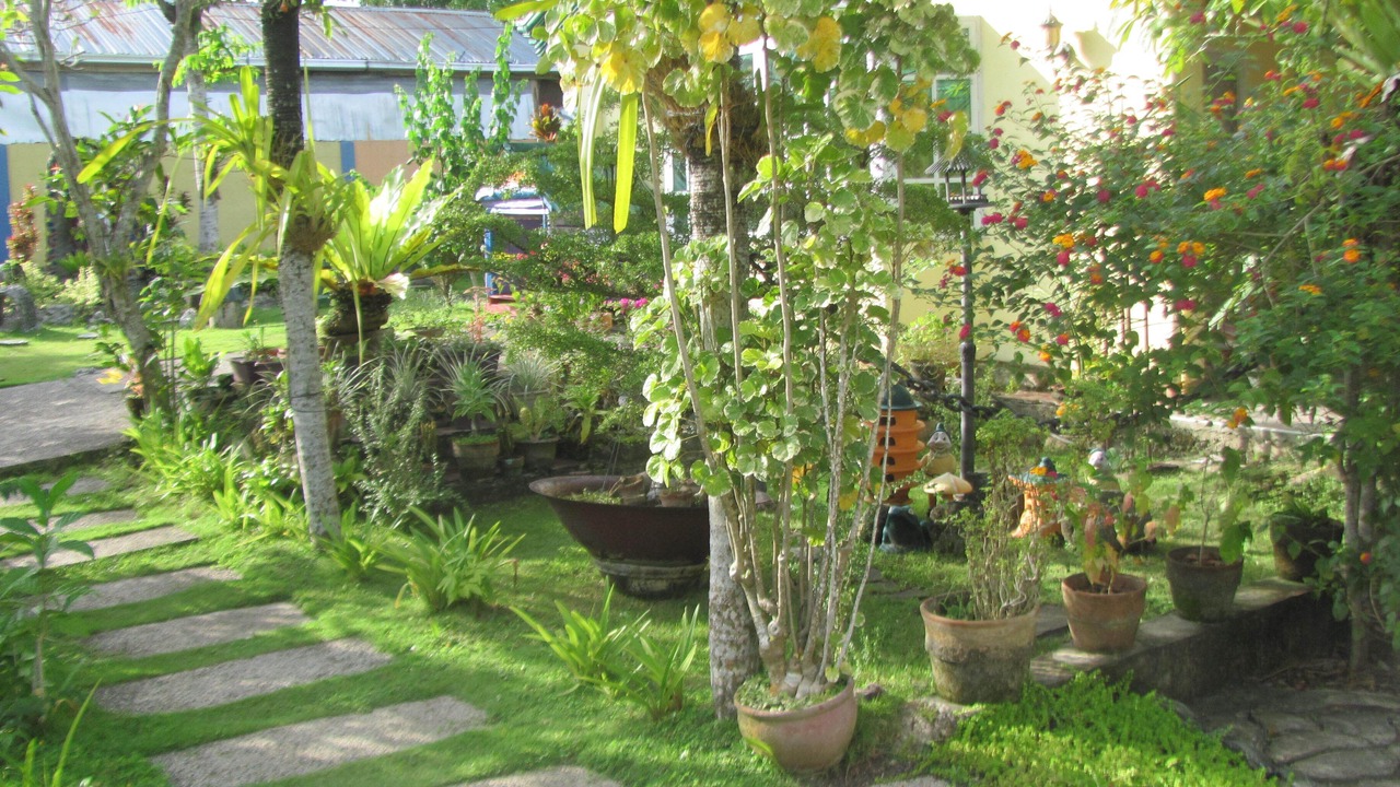 Photo of Outdoor in Baclayon