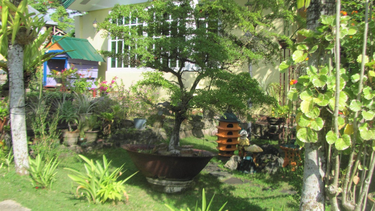 Photo of Outdoor in Baclayon