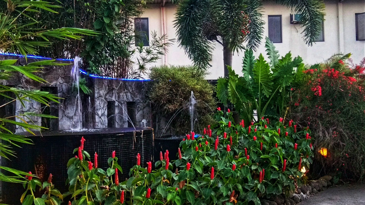 Photo of Outdoor in Santa Rosa