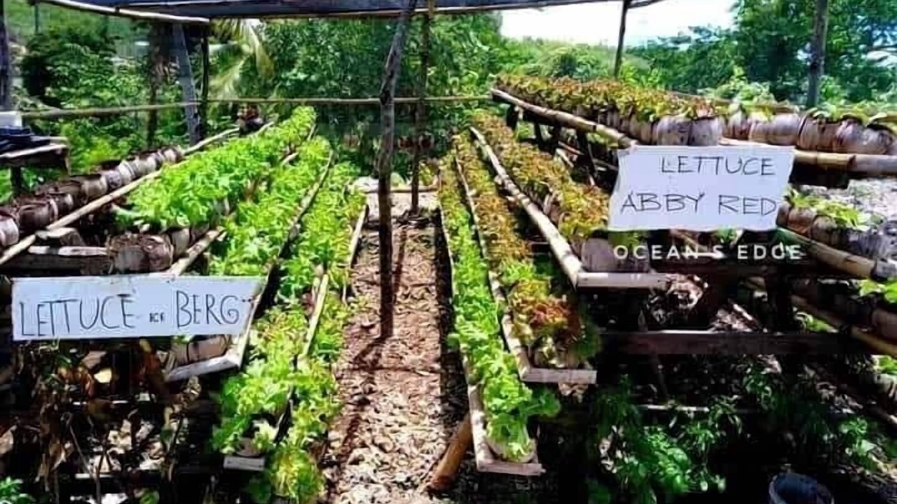 Photo of Others in Lanas