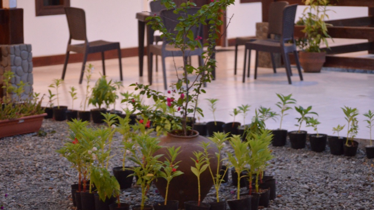 Photo of Outdoor in Cantilan