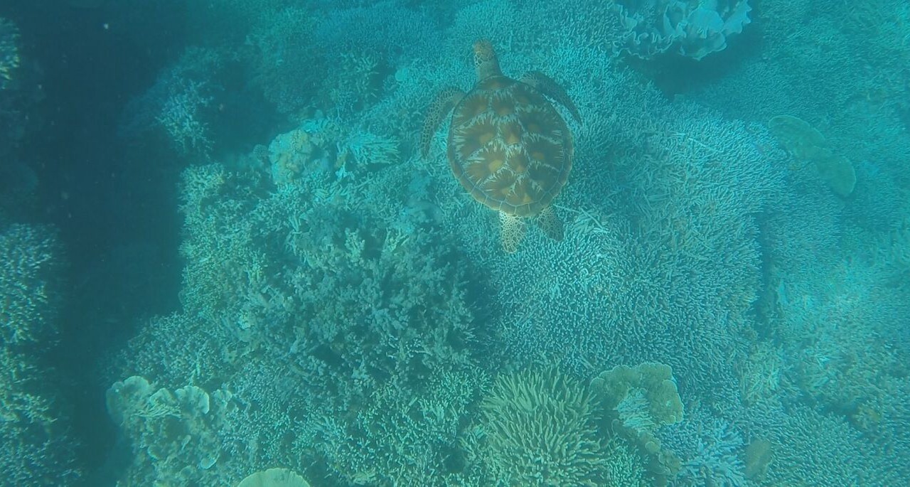 Photo of Others in Alegria