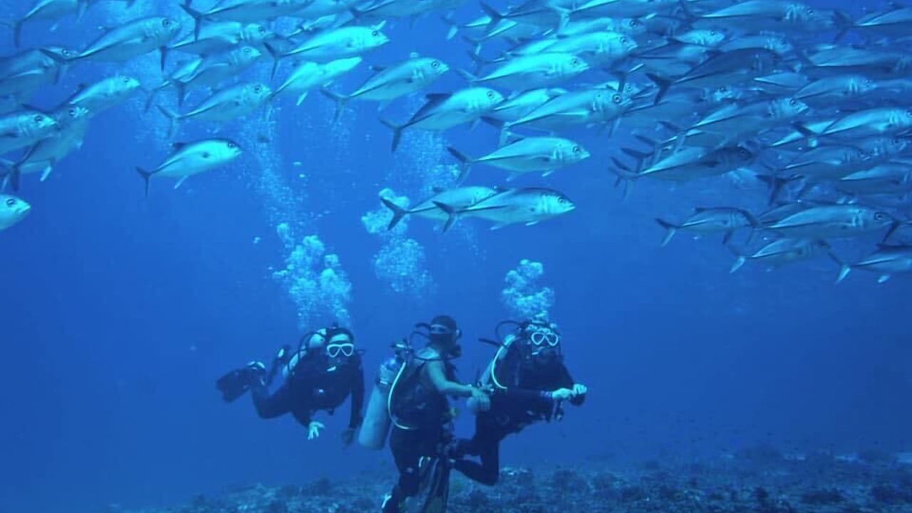 Photo of Others in Oslob