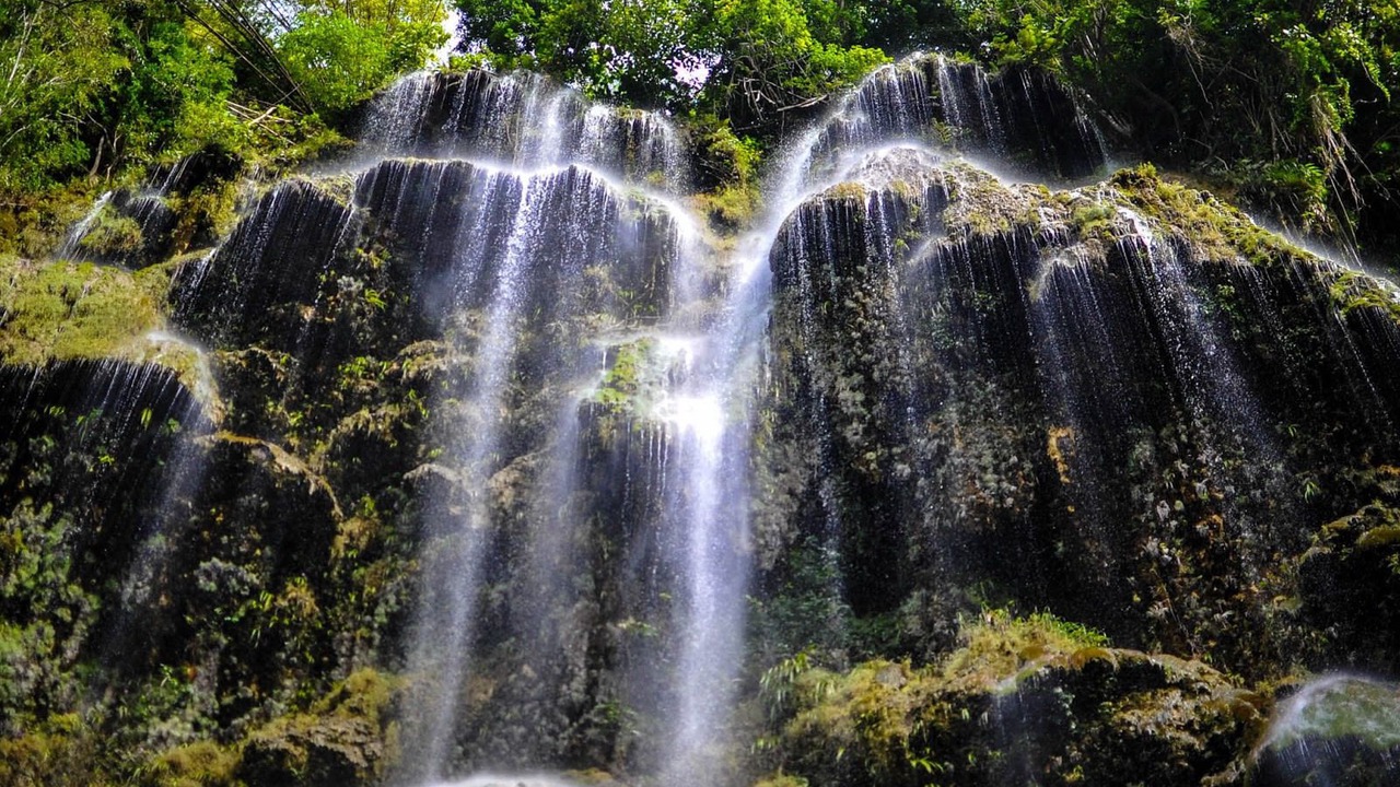Photo of Others in Oslob