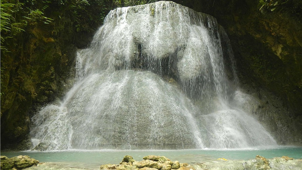Photo of Others in Oslob