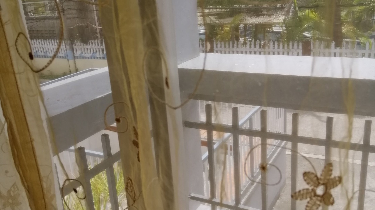 Photo of Others in Mexico