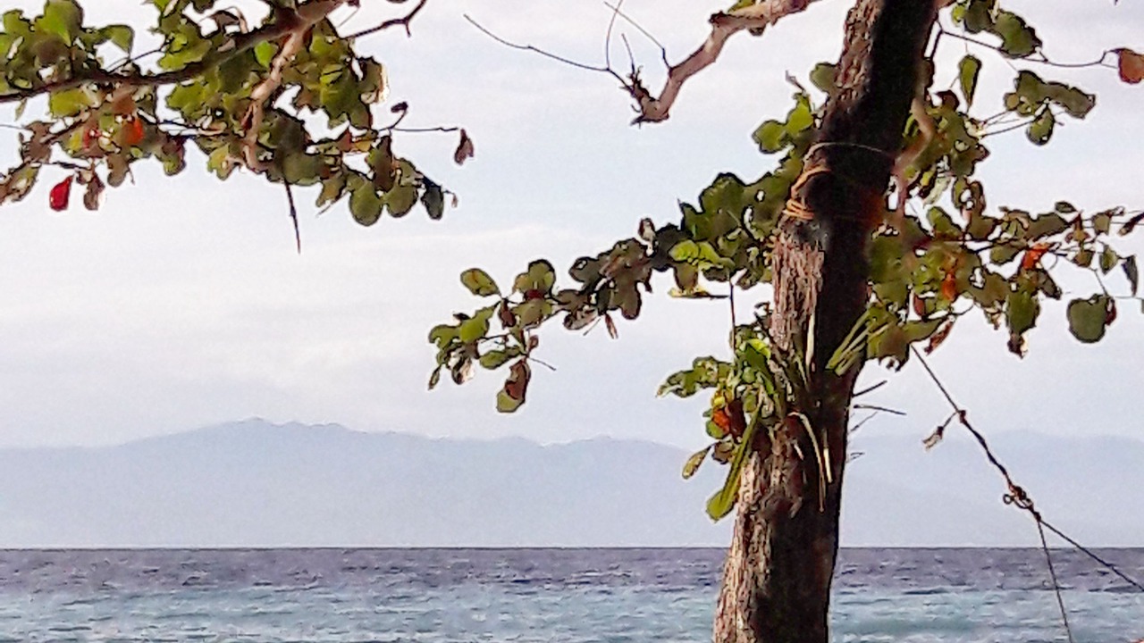 Photo of Others in Samboan