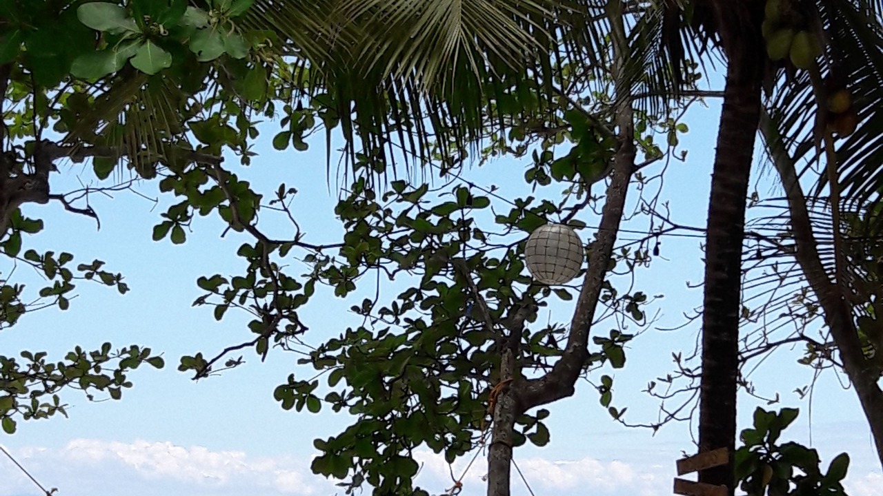 Photo of Others in Samboan