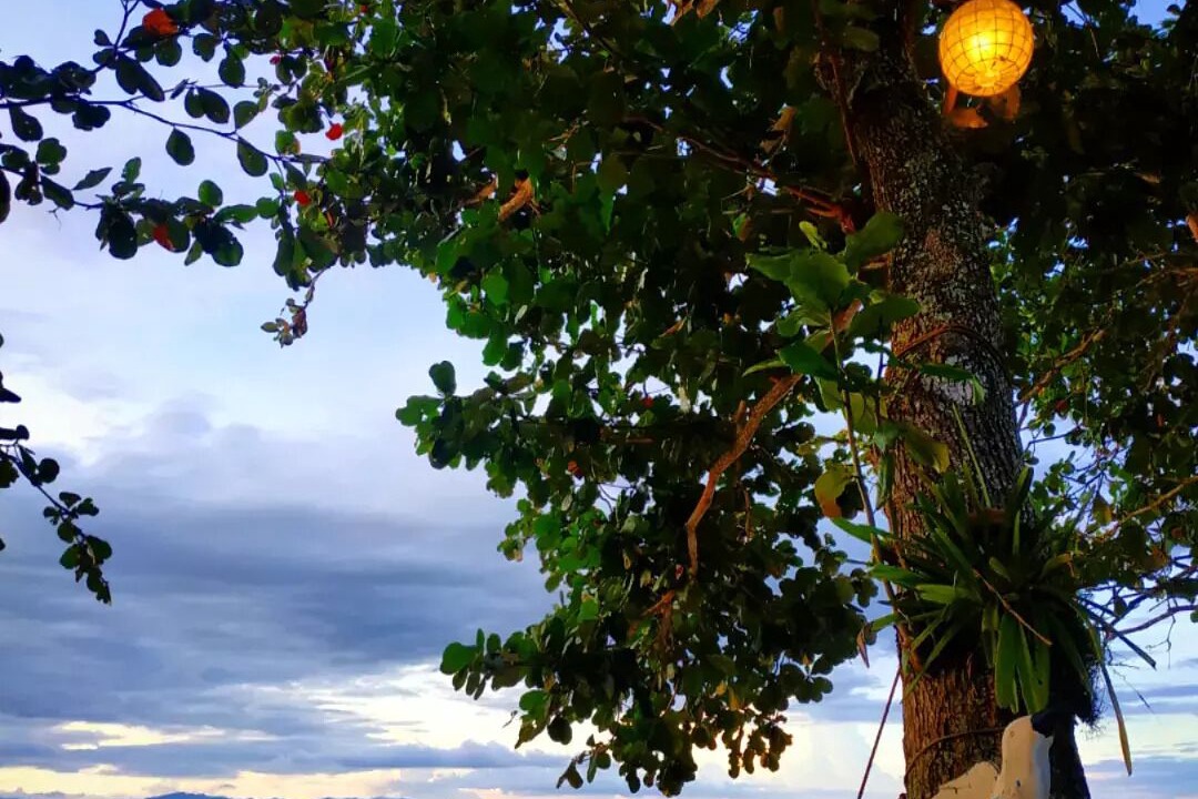 Photo of Outdoor in Samboan