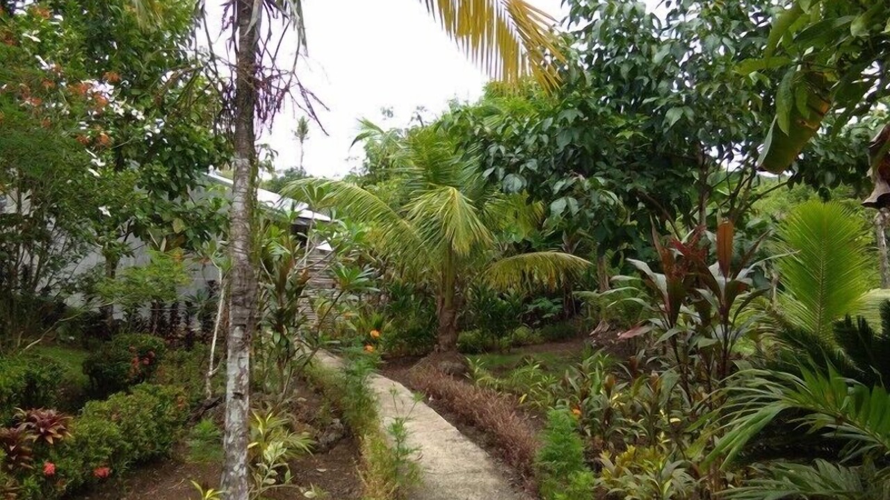 Photo of Outdoor in Lawaan