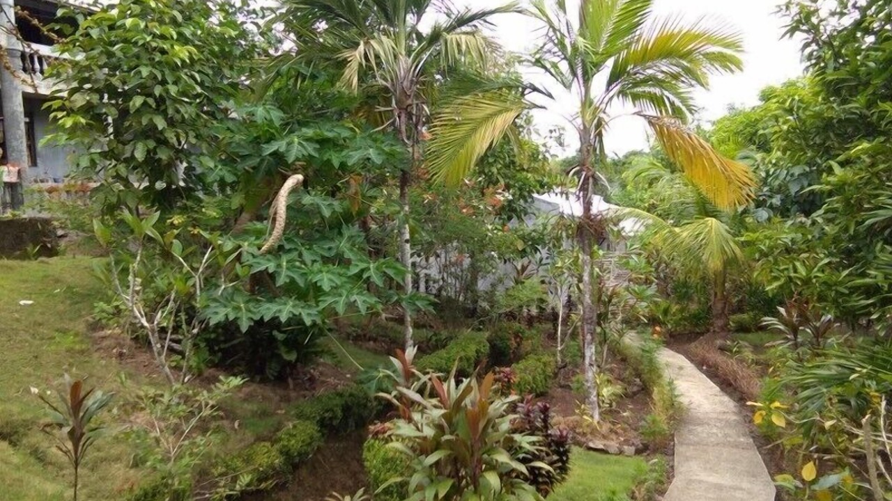 Photo of Outdoor in Lawaan