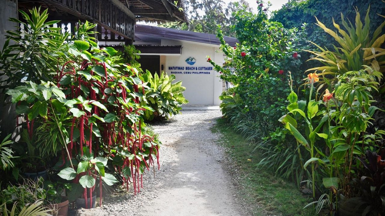 Photo of Outdoor in Alegria