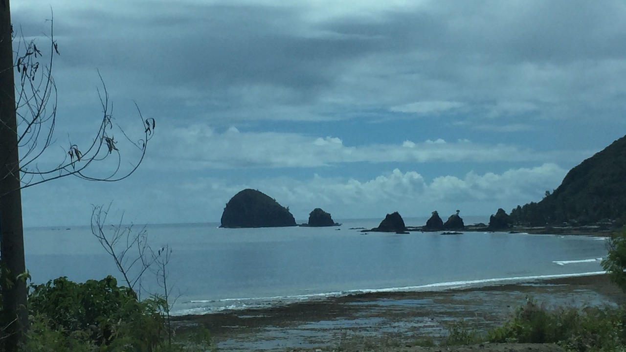Photo of Others in Baler