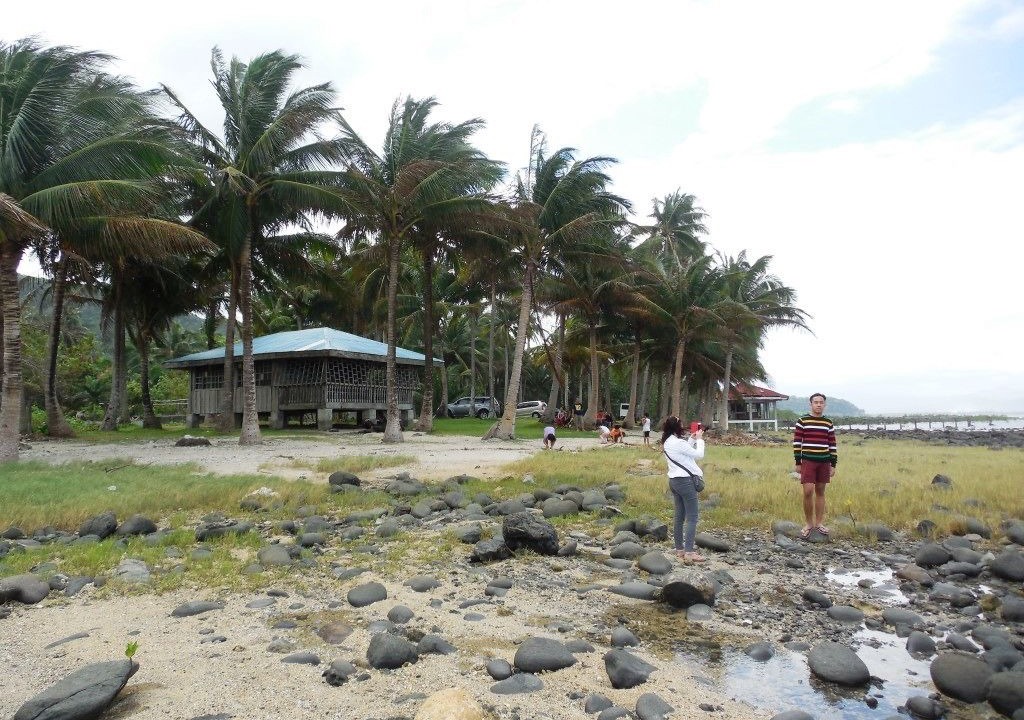 Photo of Others in Baler