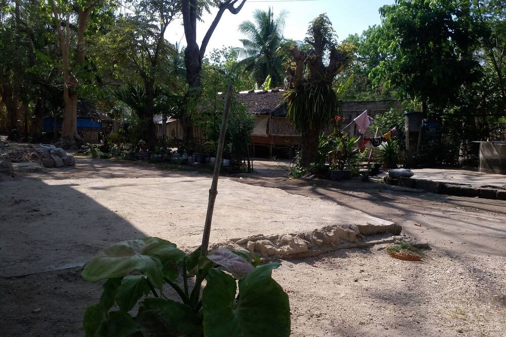 Photo of Outdoor in Carles