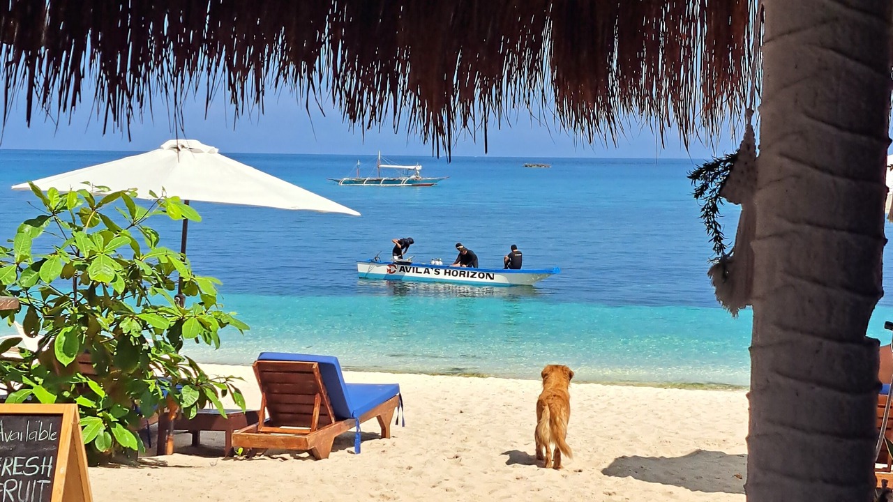 Photo of Outdoor in Daanbantayan