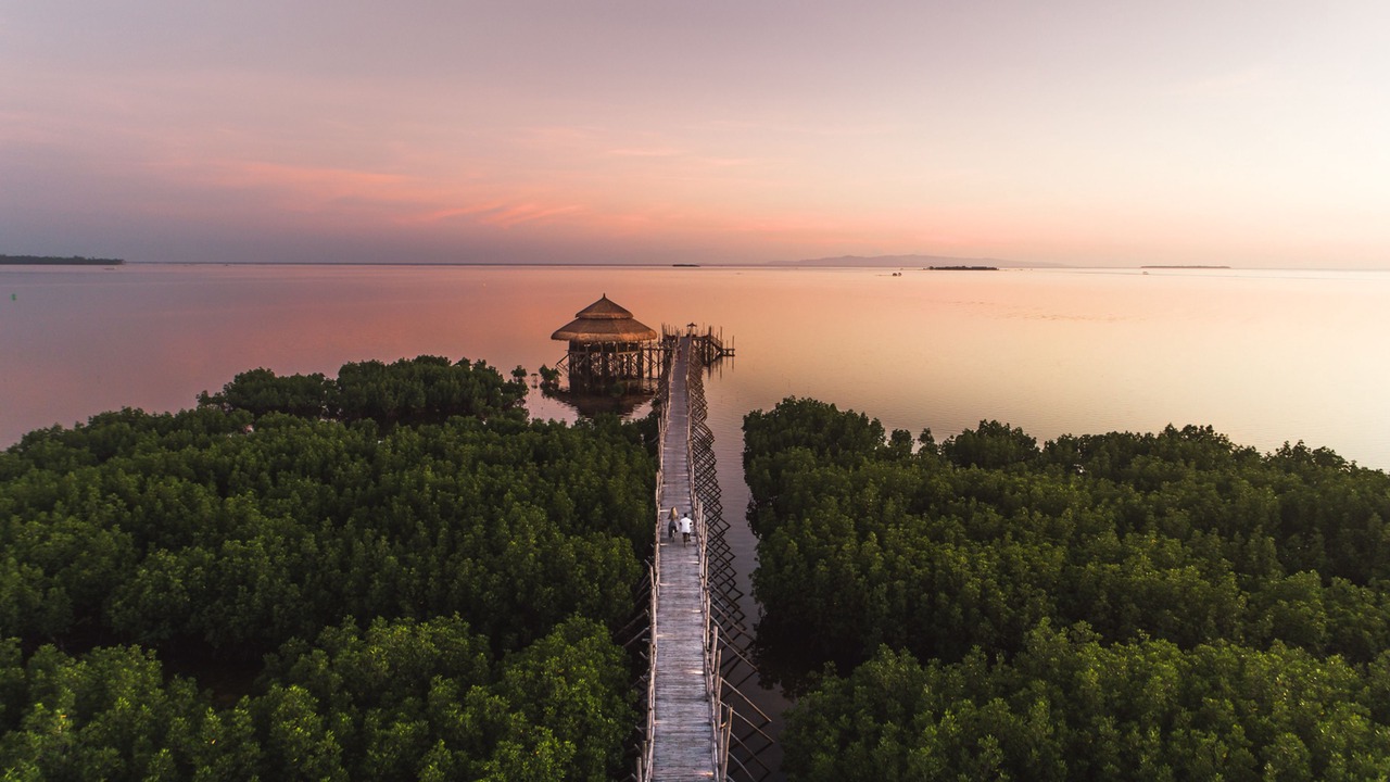 Photo of Outdoor in Panglao