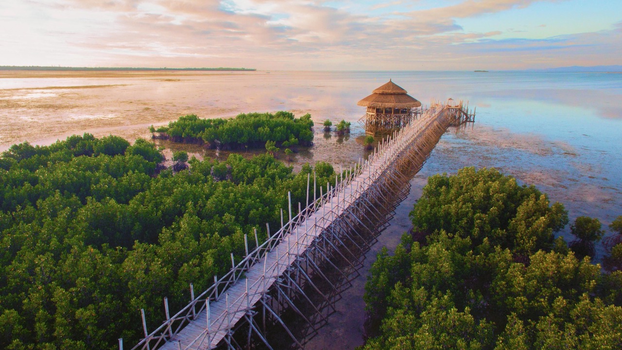 Photo of Outdoor in Panglao