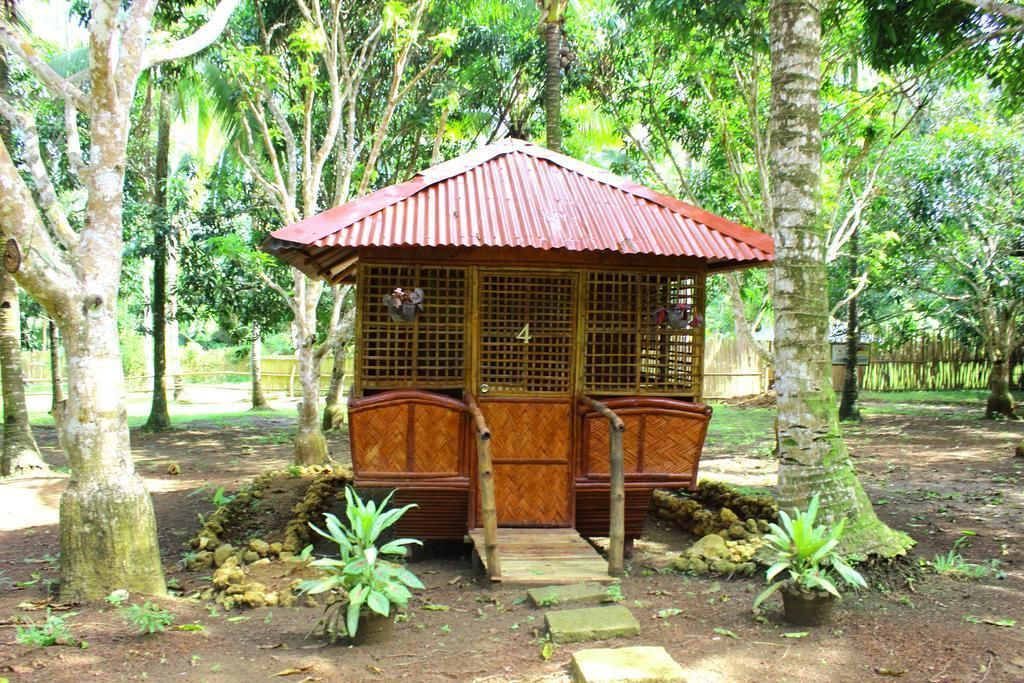Photo of Outdoor in San Pedro