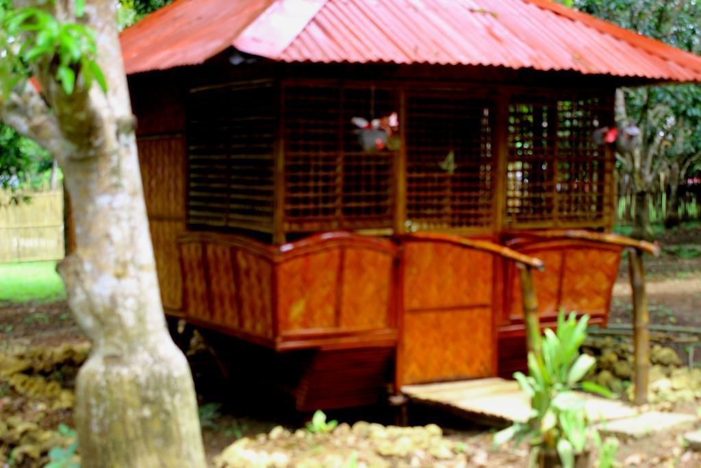 Photo of Outdoor in San Pedro