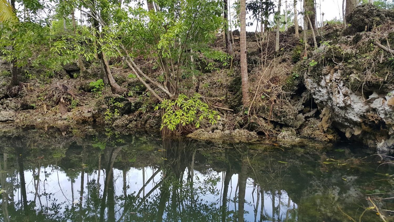 Photo of Outdoor in Anda