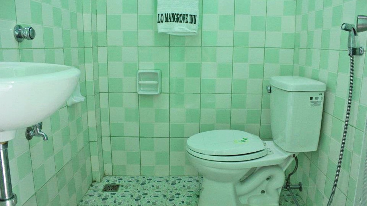 Photo of Bathroom in Calapan