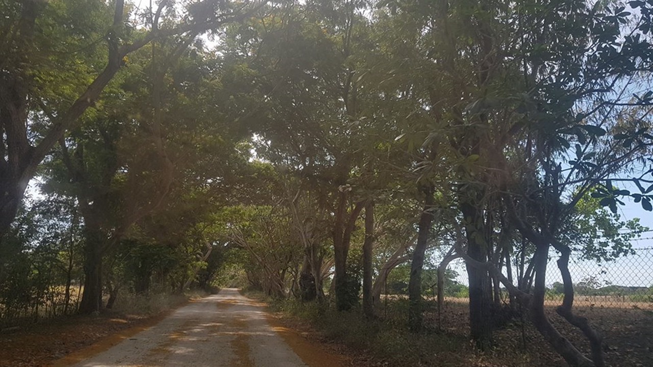 Photo of Outdoor in Calatagan