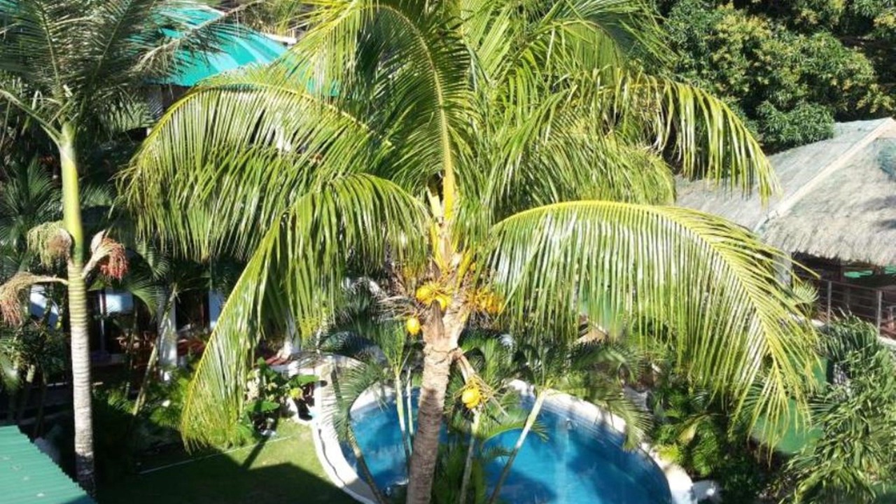 Photo of Outdoor in Puerto Galera
