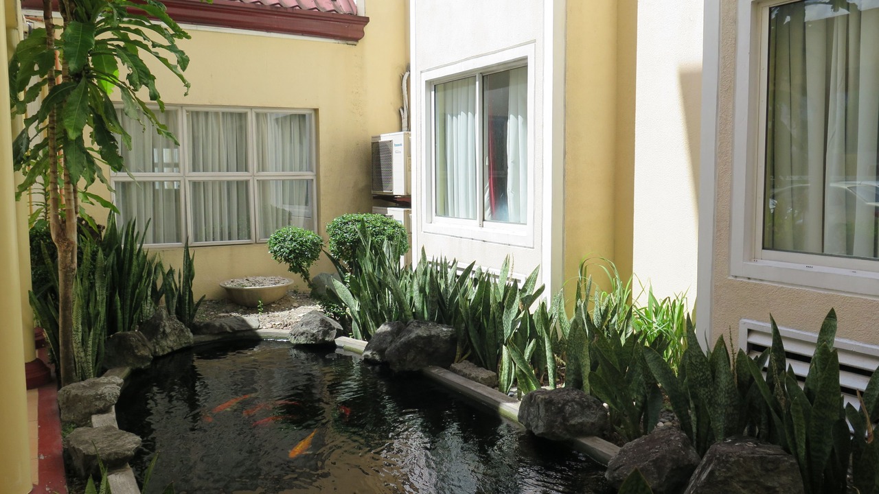 Photo of Outdoor in Santo Tomas