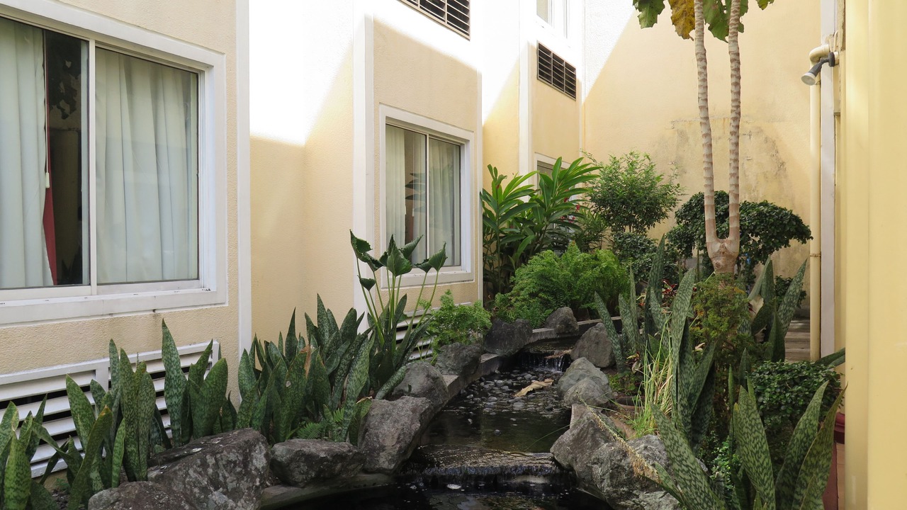 Photo of Outdoor in Santo Tomas