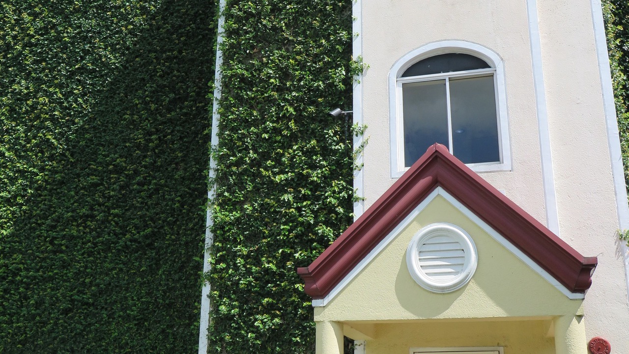 Photo of Outdoor in Santo Tomas