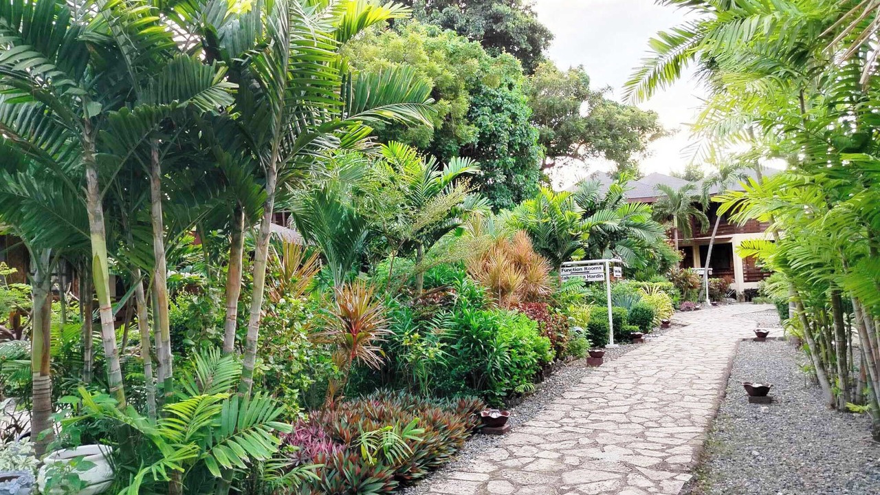 Photo of Outdoor in Cordova