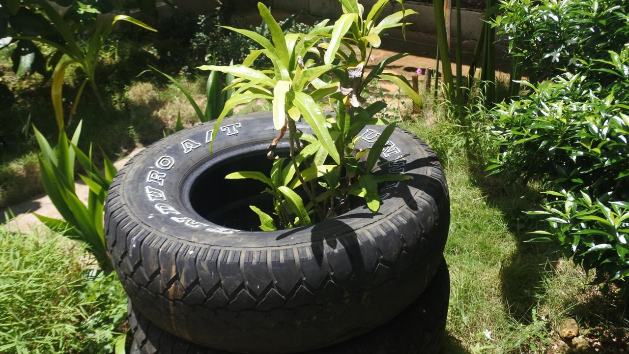 Photo of Outdoor in Dapa