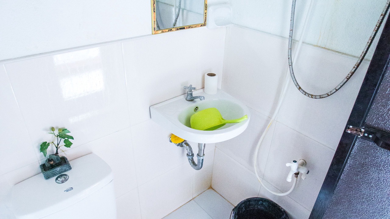 Photo of Bathroom in Dapa