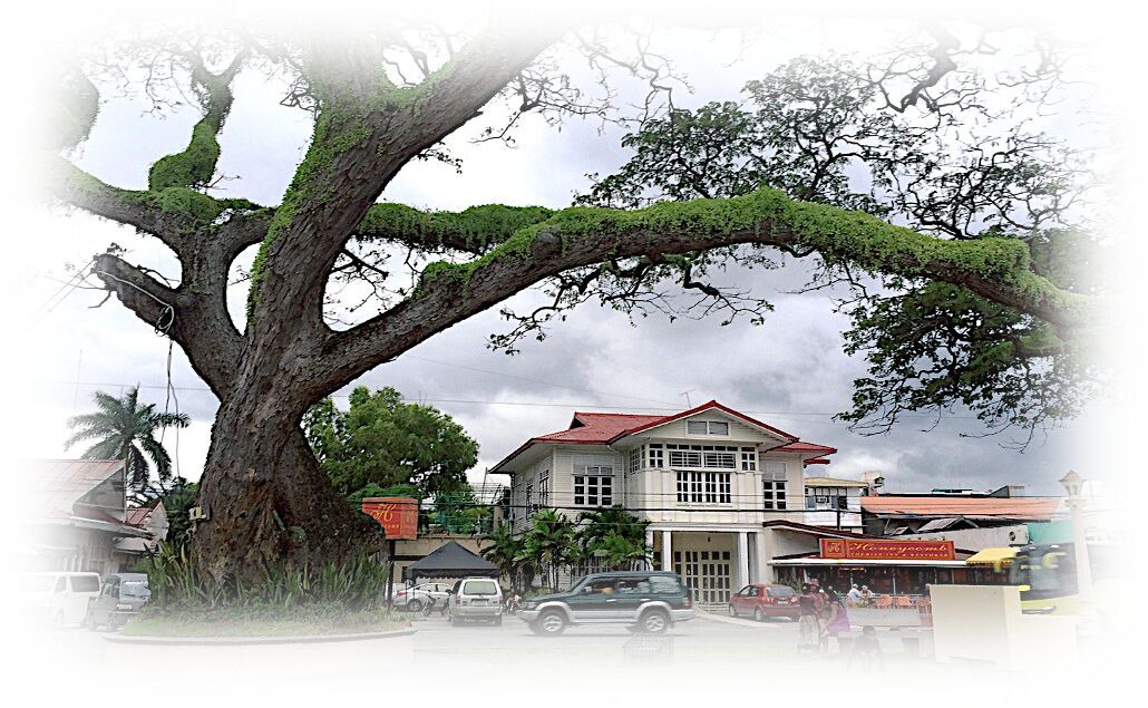 Photo of Others in Zamboanguita