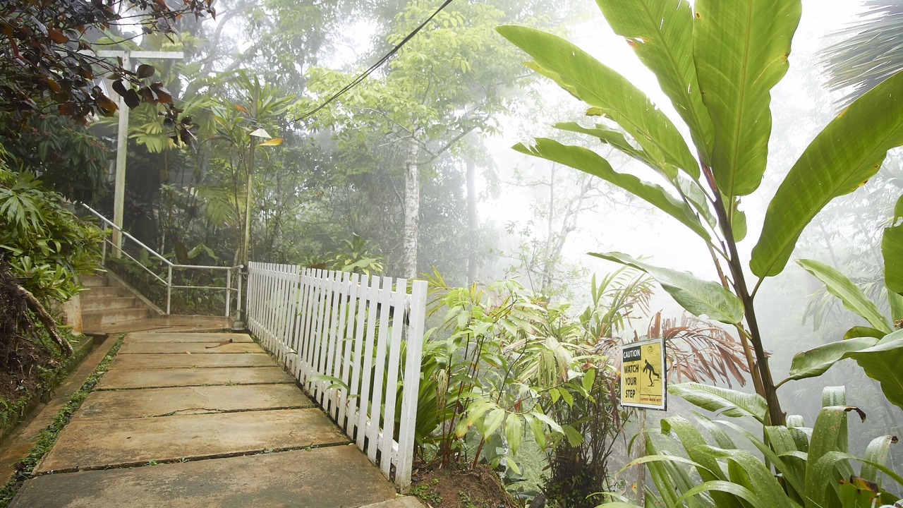 Photo of Outdoor in Bukit Bendera